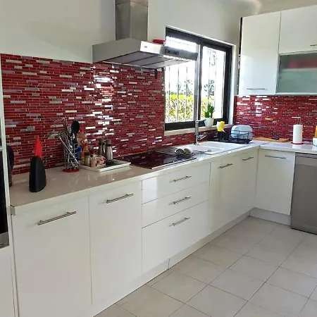 Cristina 17 - 500 M From The Albufeira